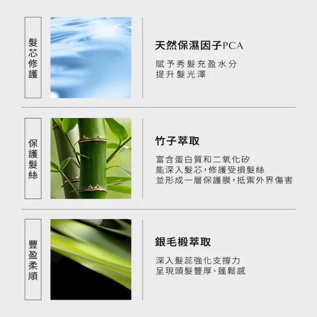 【Biosea 碧海絲】髮膜感洗髮精550mlx2入組(控油蓬鬆/豐盈潤澤 任選)