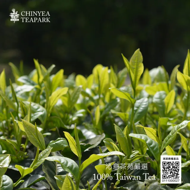 【沁意】頂級手採阿里山烏龍茶(150g/盒)