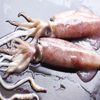 【海之醇】鮮美活凍透抽-4包組(350g&plusmn;10%/包/2隻)