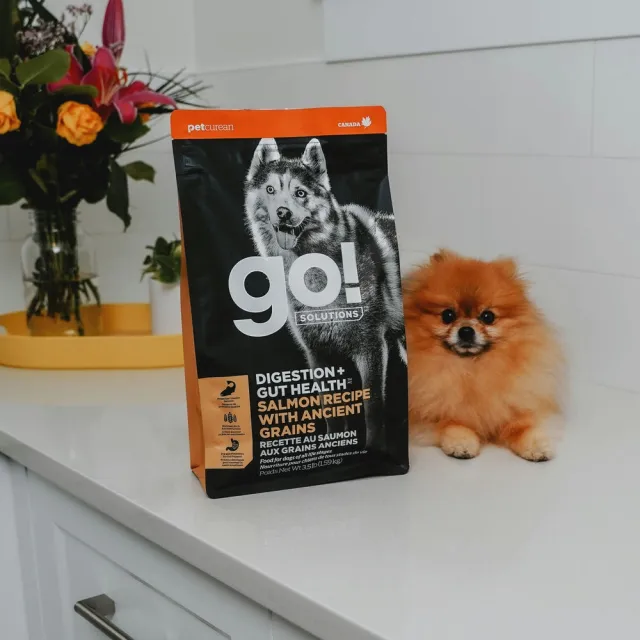 【Go!】鮭魚 3.5磅 腸胃保健系列 全犬配方(狗糧 狗飼料 腸胃敏感 益生菌)