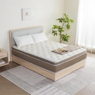 【H&D 東稻家居】MIT台灣製國民系列-5尺土星正三線海藻紗獨立筒床墊(標準雙人)