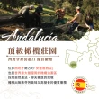 【ALIANZA】西班牙特級冷壓初榨橄欖油1000mlx3入(保留最高營養價值)