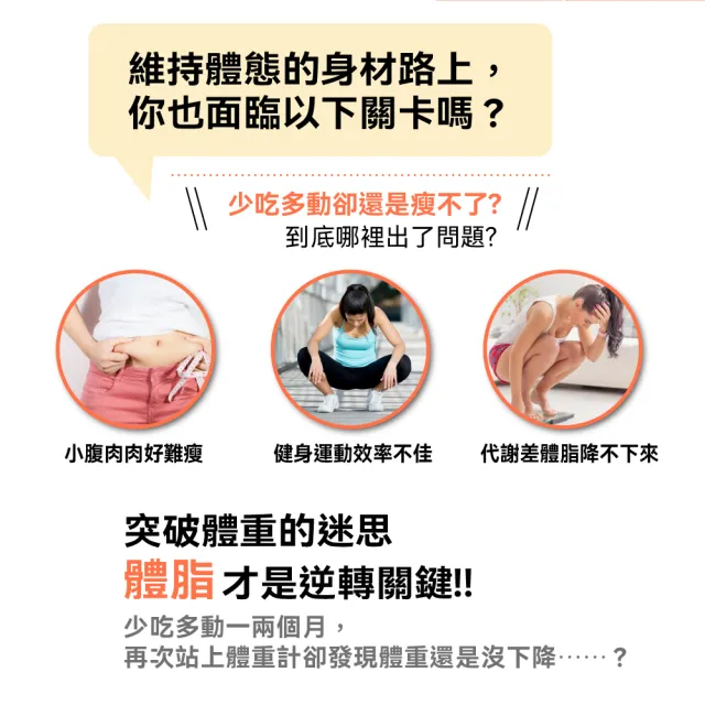 【WONDER 旺德】八電極體脂計 八點 傳感 體脂計(體重機 體脂機 APP監測 ITO 禮物 WH-SC03W)