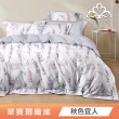 綠的寢飾 石墨烯/萊賽爾 天絲兩用被床包組-單/雙/加/特大(素色&印花多款任選/床高35公分/涼感涼被)