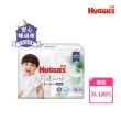 【HUGGIES 好奇】小森林尿布 好動褲 M-XXXL/黏貼型 M-XL/好眠褲XL-XXL(紙尿褲/尿布/箱)