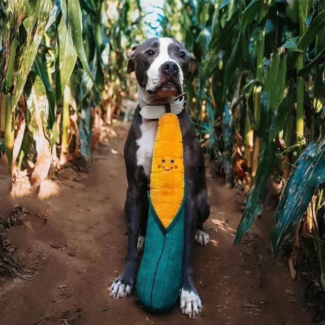 【ZippyPaws】巨無霸吵鬧蔬果攤(狗狗玩具 寵物玩具 有聲玩具 專利旋轉發聲器)