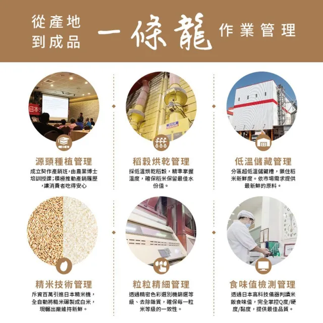 【中興米】平安發財米1kg x5包/箱購(拜拜祈福首選 以米代金更環保)