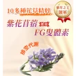 【iVENOR】十時塑花草茶-經典原味x12盒(10包/盒 廖家儀代言)