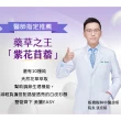 【iVENOR】十時塑花草茶-孅桃口味x12盒(共120包)
