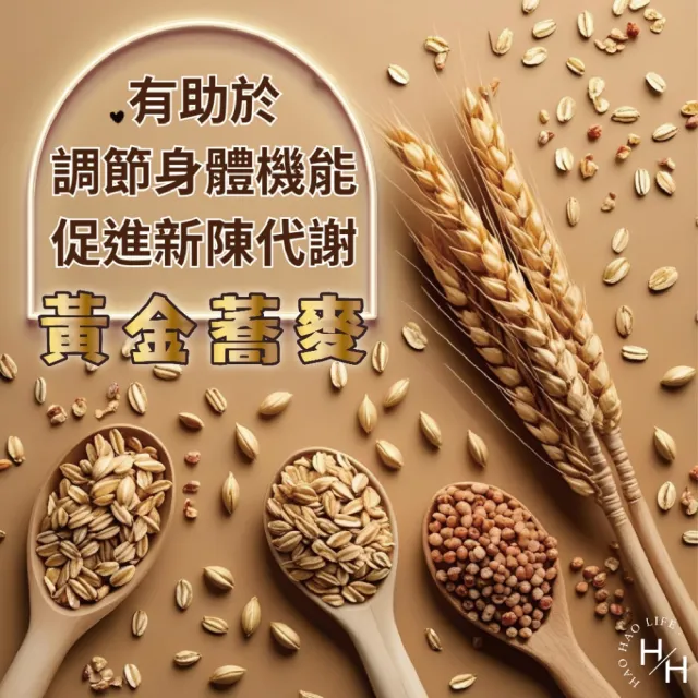 【QUAKER 桂格】無糖黃金蕎麥多穀飲(28公克 X 50入/箱)
