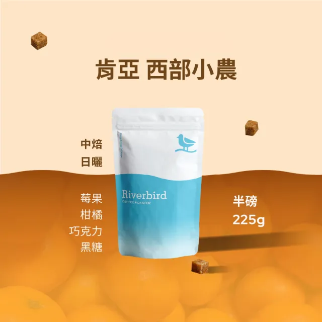 【江鳥咖啡】咖啡豆/中焙/日曬/水洗/蜜處理(225g/袋)