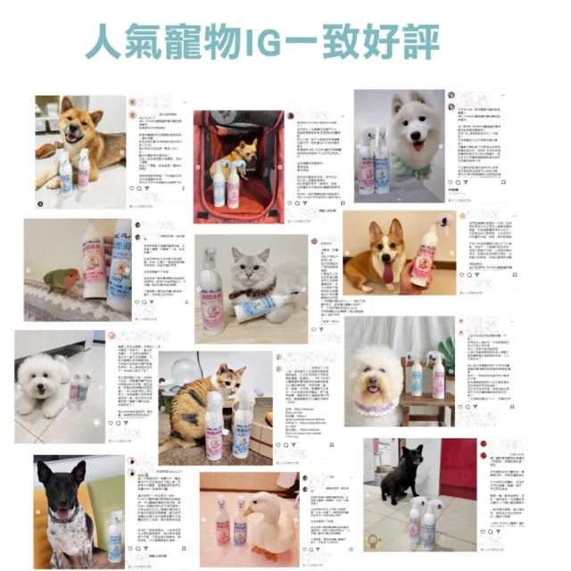【ARC-FLASH】寵物專用光觸媒織品濃縮洗劑2入(抑制細菌、強效除臭)
