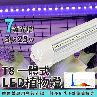【JIUNPEY 君沛】3入組 7號光譜 T8 3呎 25W 一體式植物燈管(植物生長燈 鹿角蕨適用)