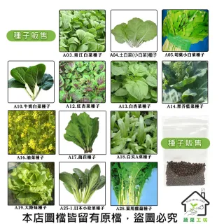 【蔬菜工坊】新手短期收成全年可栽培葉菜類種子系列-各種包裝數