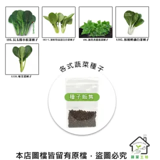 【蔬菜工坊】新手短期收成全年可栽培葉菜類種子系列-各種包裝數