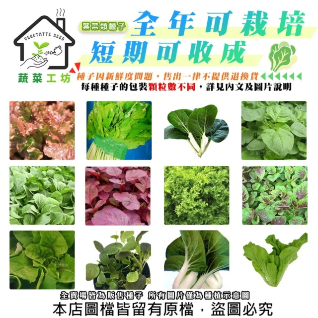 蔬菜工坊