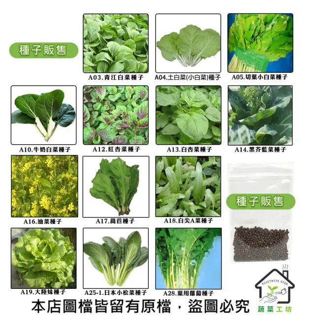 【蔬菜工坊】新手短期收成全年可栽培葉菜類種子系列-各種包裝數