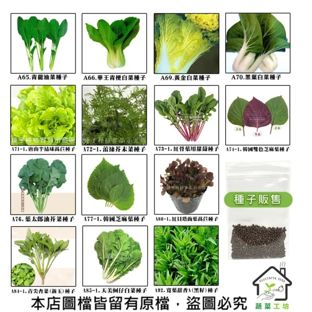 【蔬菜工坊】新手短期收成全年可栽培葉菜類種子系列-各種包裝數