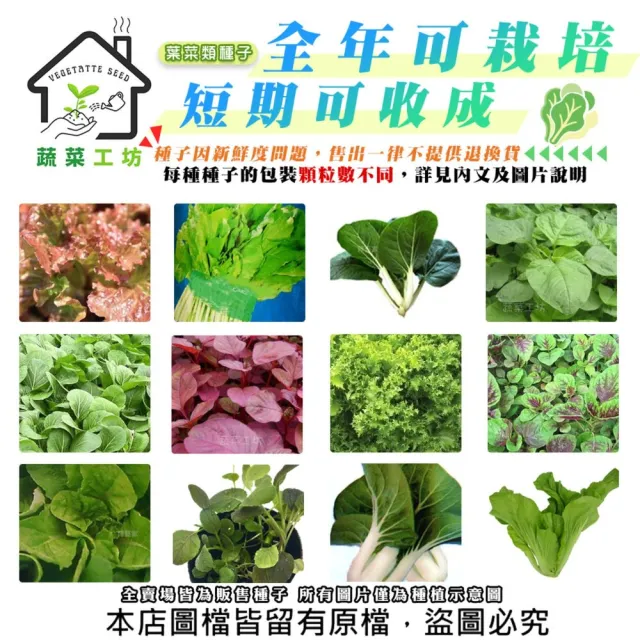 【蔬菜工坊】新手短期收成全年可栽培葉菜類種子系列-各種包裝數