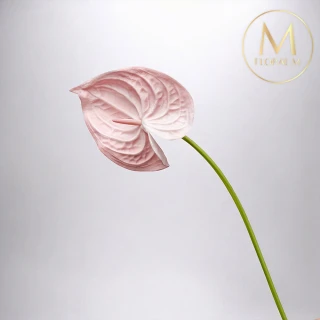 【Floral M】黛安娜心型火鶴少女粉仿真花花材（2入組）(人造花/塑膠花/假花/裝飾花)
