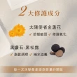【THE TRUE 本真】琥珀養髮香氛800ml洗護組(官方直營 敏弱頭皮 乾癢膚質 低敏配方 舒緩頭皮 溫和清潔)