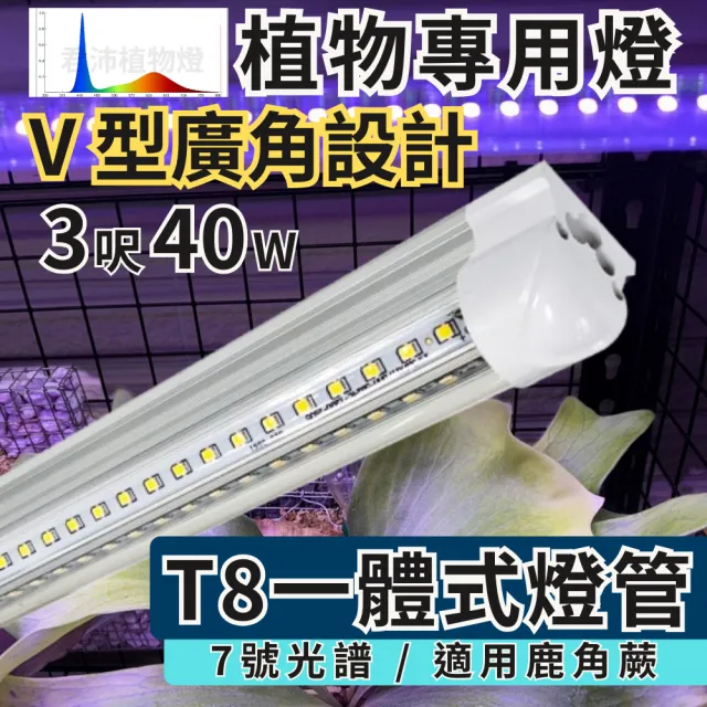 【JIUNPEY 君沛】2入組 T8一體式V型植物燈管 3呎40W 7號光譜(植物生長燈 鹿角蕨適用)