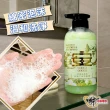 【財神小舖】澡平安 除穢艾草洗髮精500ml(避邪 淨身 淨化 艾草精油)