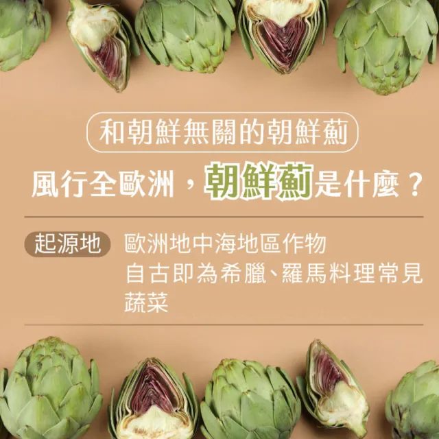 【德國 Natural Fit 活粒適】朝鮮薊萃取膠囊75粒 三入組(素食 含330毫克朝鮮薊萃取物)