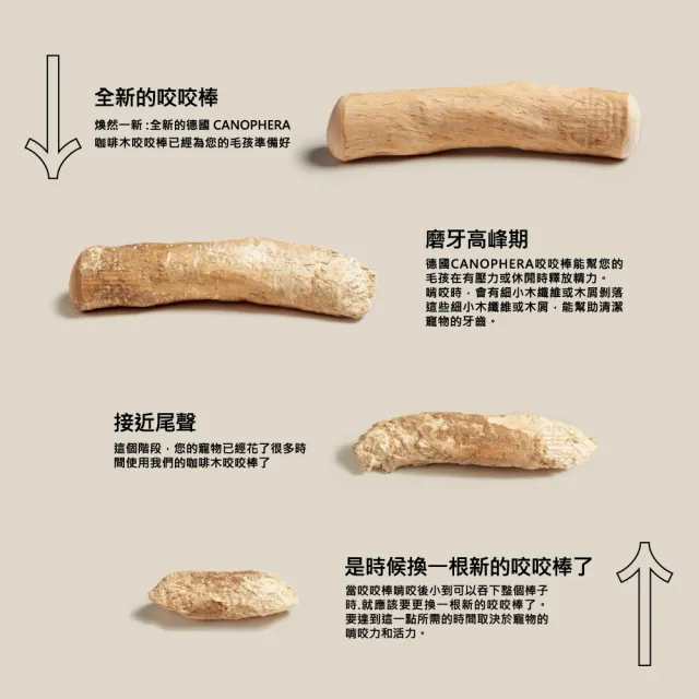 【美好寵商】CANOPHERA 天然咖啡木咬咬棒L號_單支裝(磨牙棒 寵物玩具 耐咬啃咬玩具)