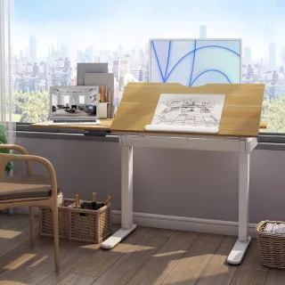 【Flexispot】多功能繪圖電動升降桌 120*60cm桌組 不含安裝(工作繪圖桌/辦公桌/電腦桌/主管桌/兒童成長桌)