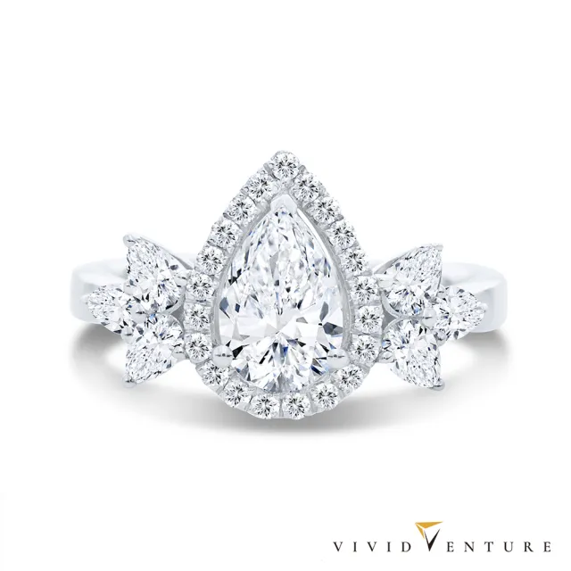 【Vividventure 亞帝芬奇】鉑金 GIA 1克拉 DVS2  天然鑽石 真鑽 戒指 璀璨楓華