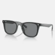 【RayBan 雷朋】2025新品 亞洲版 韓系流行太陽眼鏡組合(RB4391D、RB4392D、RB4423D、RB4458D、RB4461D)