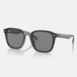【RayBan 雷朋】2025新品 亞洲版 韓系流行太陽眼鏡組合(RB4391D、RB4392D、RB4423D、RB4458D、RB4461D)