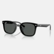 【RayBan 雷朋】2025新品 亞洲版 韓系流行太陽眼鏡組合(RB4391D、RB4392D、RB4423D、RB4458D、RB4461D)