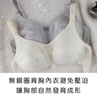 【玉如阿姨】花漾微樂山丘內衣※0664粉(A.B罩 少女 發育 透氣 小胸 護胸 防激凸 服貼 台灣製)