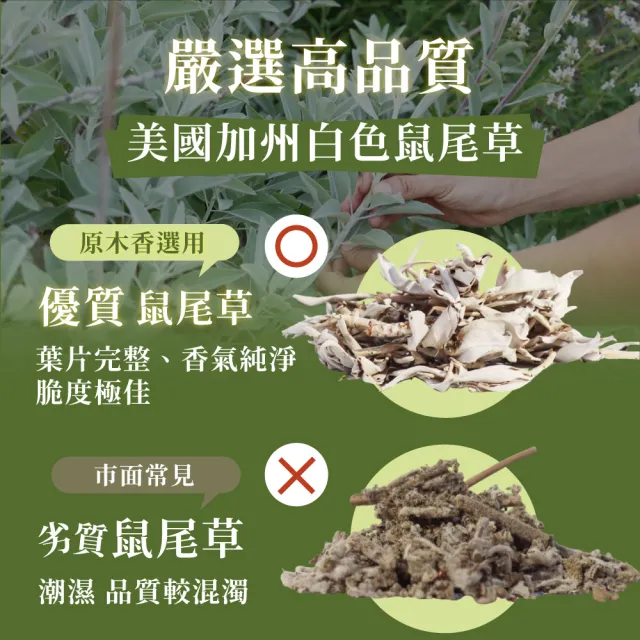 【原木香】官方直營 白色鼠尾草無黏香 祥雲小盤香 1罐10片(鼠尾草純粉壓製 香氣超濃縮 適用塔羅 瑜珈 冥想 