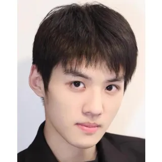 【LEEHER】真髮假髮/髮片/整頂假髮/全頭套假髮/假髮片/透氣假髮/頭頂髮片自然/無痕/假髮/男生假 