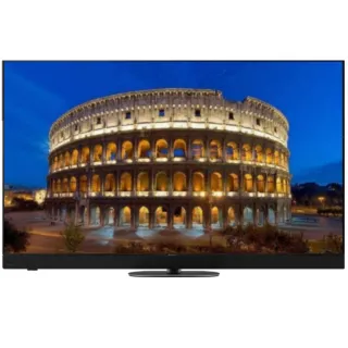 【Panasonic 國際牌】65型OLED 4K連網智慧顯示器不含視訊盒(TV-65Z90BGT)