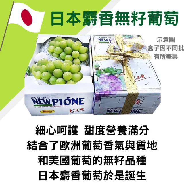 【RealShop】日本麝香葡萄大串淨重500-600gx1房/盒(綠無籽葡萄 水果禮盒 送禮)