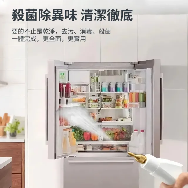 【Felsted 菲仕德】蒸汽機 蒸汽清洗機 冷氣清洗機(SC01 高溫蒸汽殺菌 消毒 除臭 殺菌 清潔 除螨)