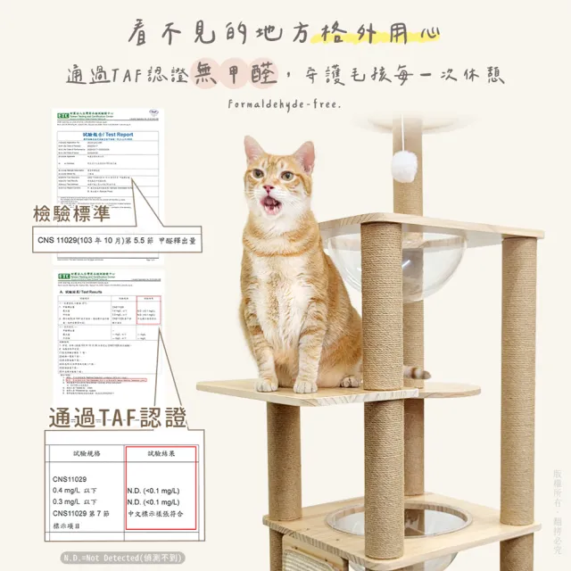 【貓本屋】台灣製 雙太空艙方形實木貓跳台(附劍麻抓板/球)