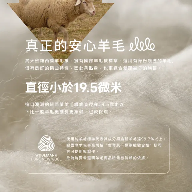 【Beauty Style】100%紐西蘭小羔羊冬被-雙人6X7尺(羊毛局推薦 台灣製 冬被 棉被)