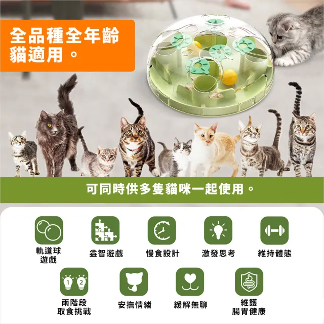 【KADTC】三合一智探寶盒(多功能 寵物益智玩具 藏食玩具 貓玩具 慢食 寵物訓練 防滑)