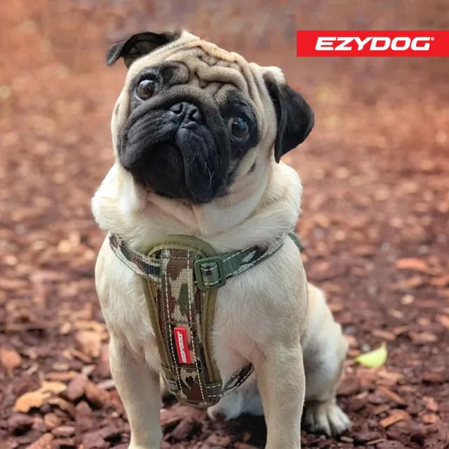 【EZYDOG】狗體工學胸背帶 特殊色 S號(送400元寵物車用束帶 寵物胸背帶 H型胸背帶 寵物用品 牽繩)