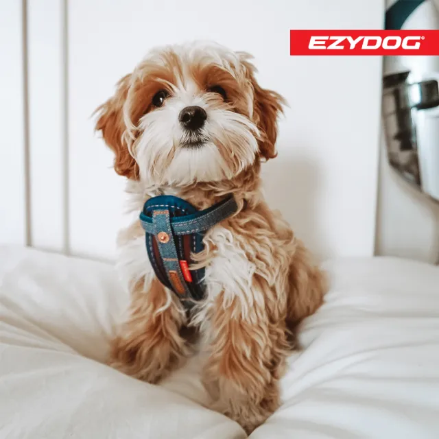 【EZYDOG】狗體工學胸背帶 丹寧 XS號(送400元寵物車用束帶 寵物胸背帶 H型胸背帶 寵物用品 牽繩)