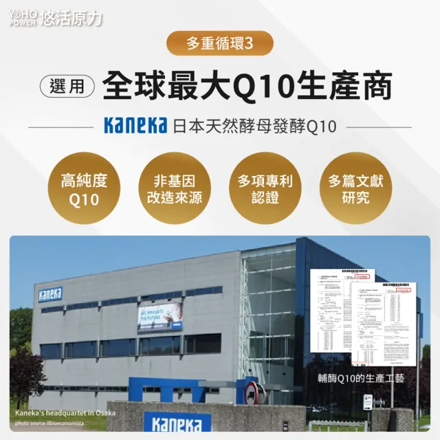 【悠活原力】悠活紅麴納豆Q10膠囊x2盒(60粒/盒 共120粒 非使用小林紅麴)