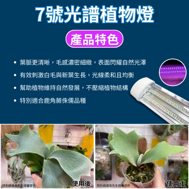 【JIUNPEY 君沛】1入組 4呎 50W 7號光譜 植物燈管 防水型設計(植物生長燈 三防燈 鹿角蕨適用)