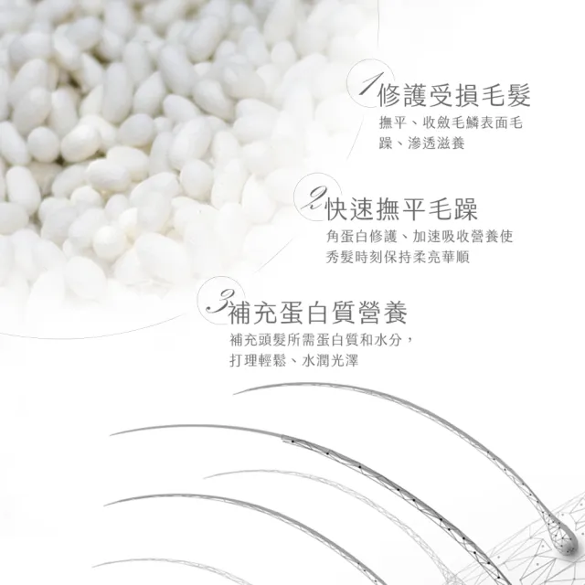 【阿皂屋】手工皂-堅果油洗髮皂-強健髮根推薦-3入組(PH5.5弱酸皂-無矽靈洗髮皂-控油-胺基酸皂-泛紅-脫屑)