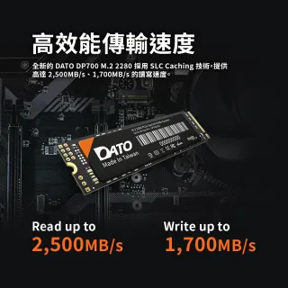 DATO 達多】DP700 1TB M.2 2280 PCIe Gen3x4 SSD 固態硬碟(最高達讀