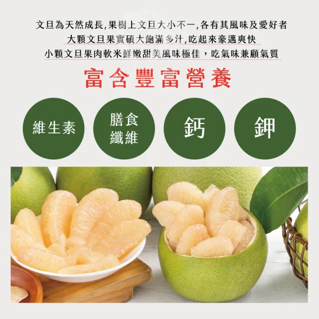 【初品果】花蓮鶴岡海伯40年老欉文旦禮盒10斤7-9顆x2箱(大果_中秋禮盒_企業送禮_好友揪團)